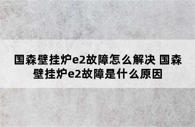 国森壁挂炉e2故障怎么解决 国森壁挂炉e2故障是什么原因